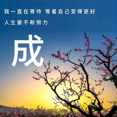 ꧁꫞꯭🍀思维认知꫞🌹꧂