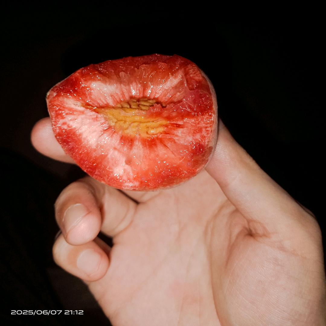 自由自在a
