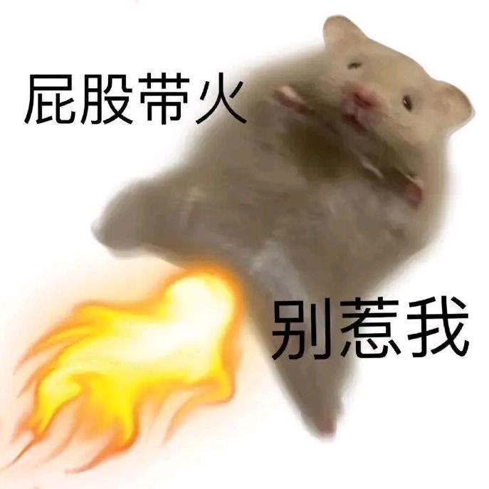 rfgg