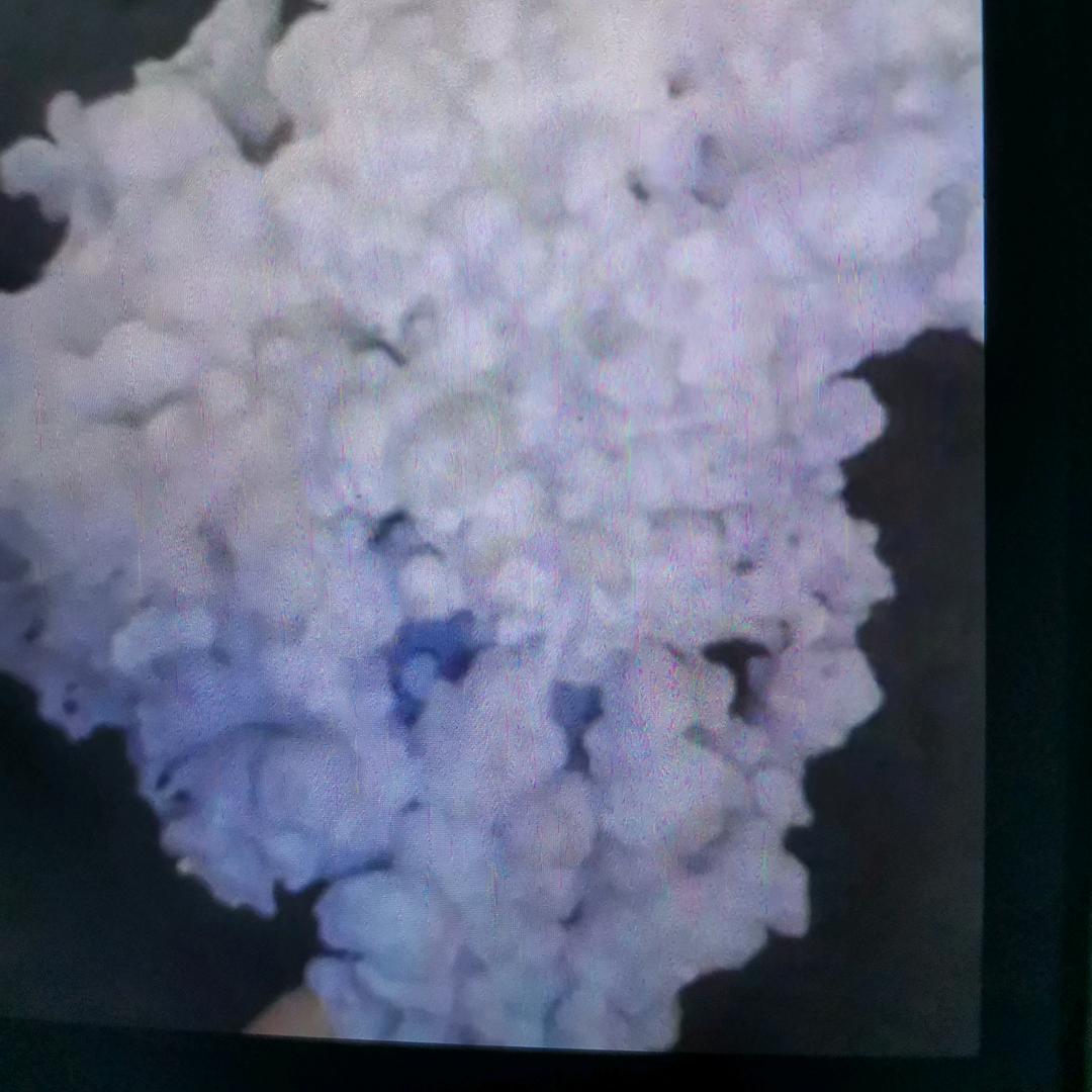 红尘客