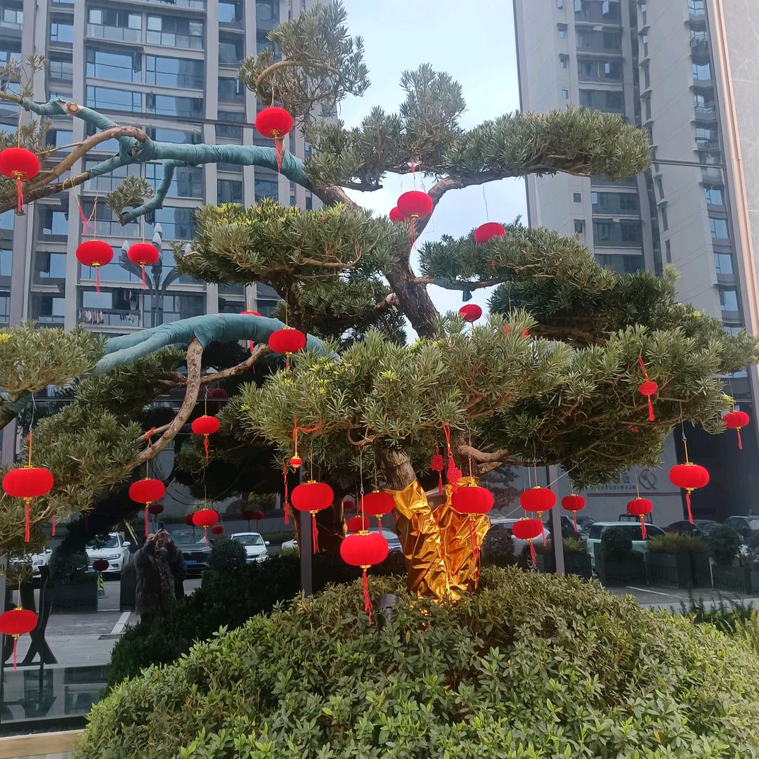 李大
