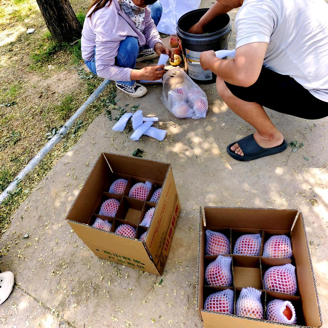 喜欢桃子的木木