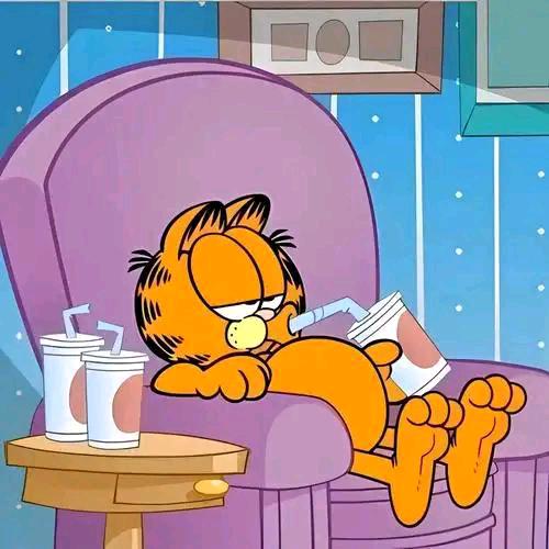 懒橘喵喵杂货铺