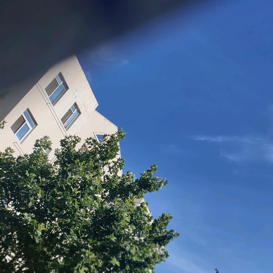 呀呀。。。。。。