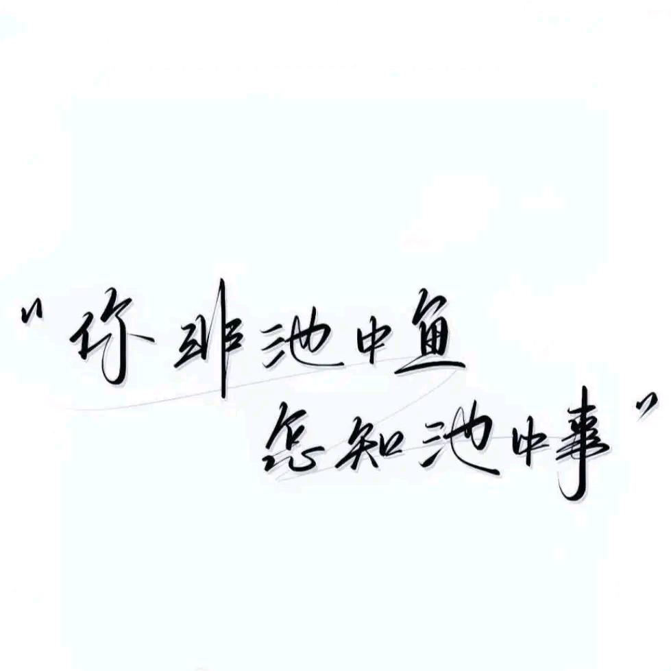 `    诗野繁花    `