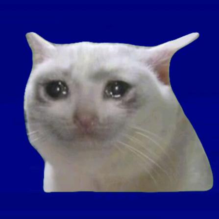 猫meme 故事
