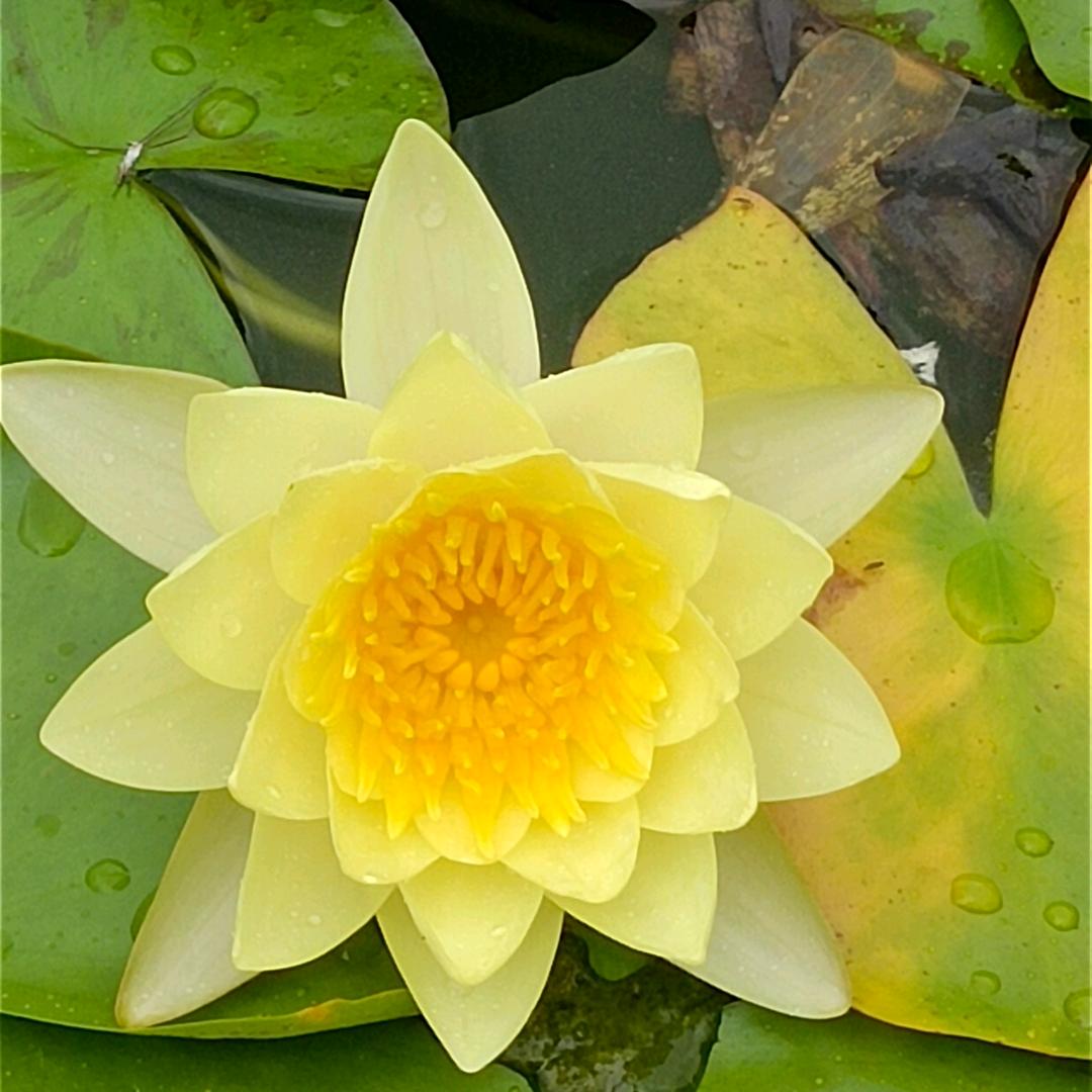 用户535889415711