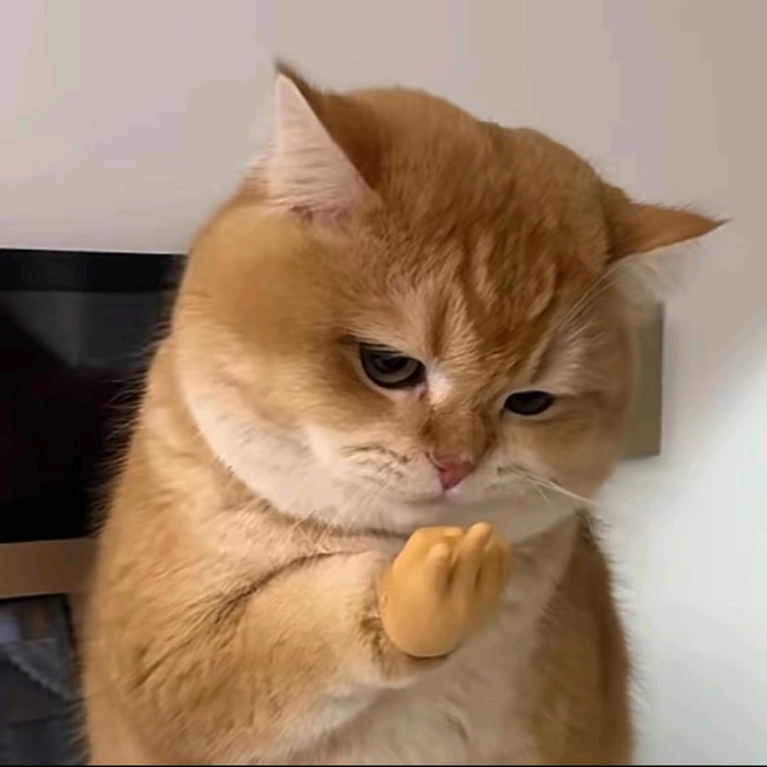 向饿势力低头