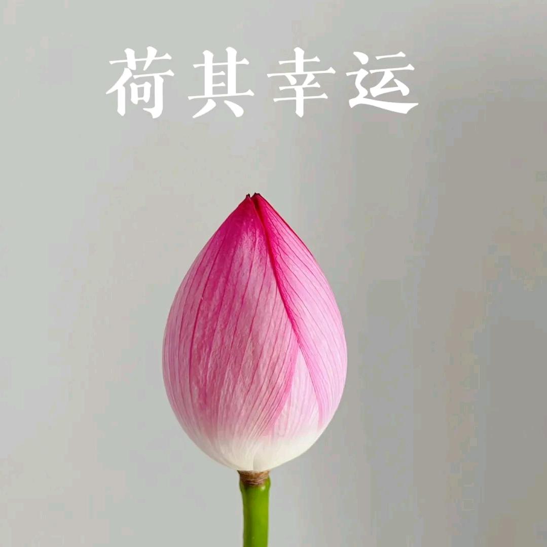 东营福安居房产