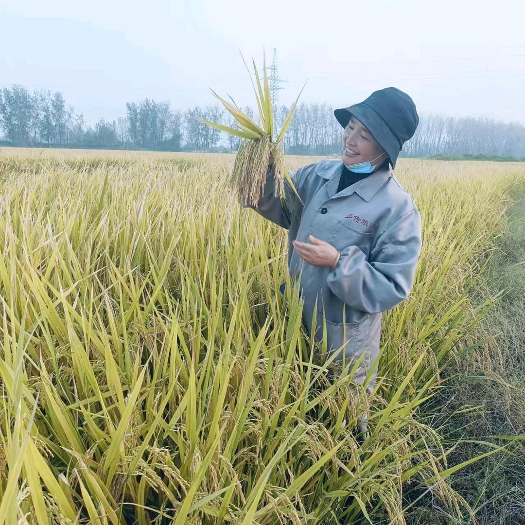 《多传粮油》巜勤恒商贸》