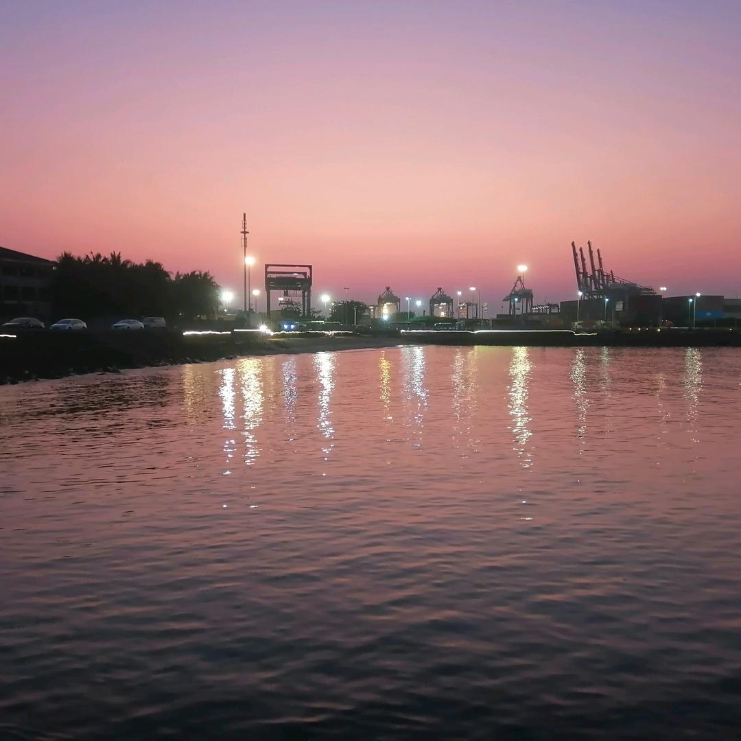 像海獭一样