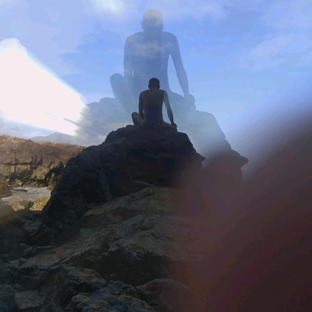 云杉松柏