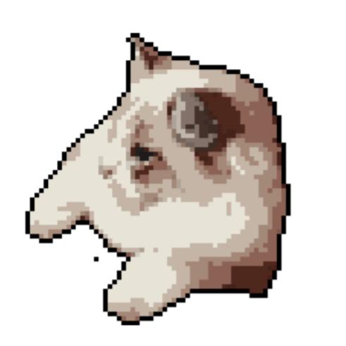 一期一会