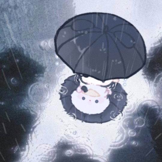 发霉阴雨天
