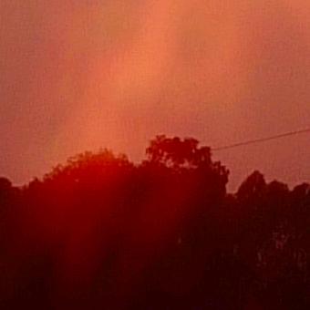 🌴🌴🌄🐊慢步人生