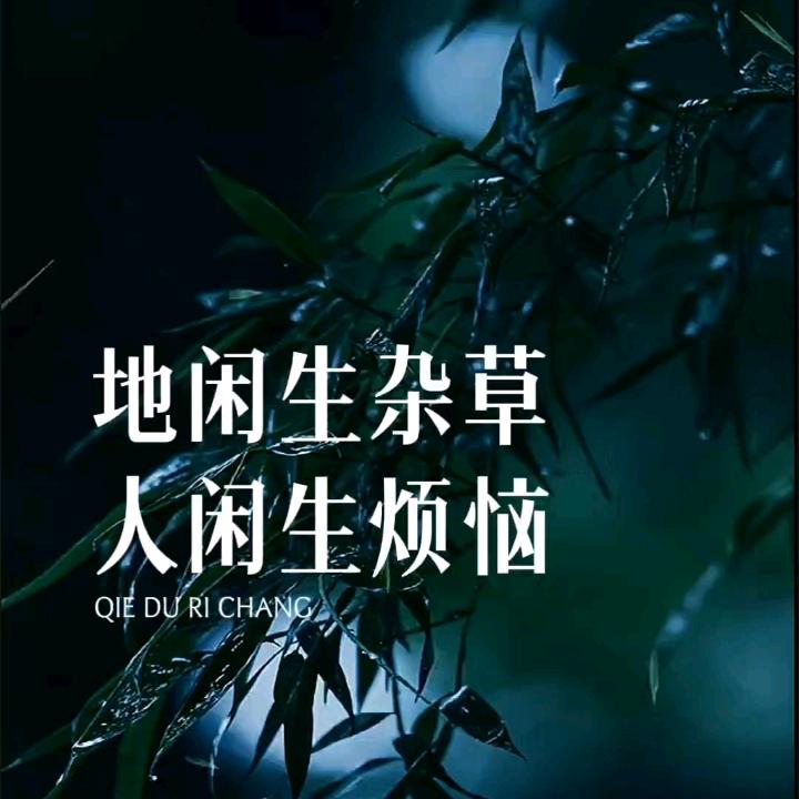 露似珍珠月似弓