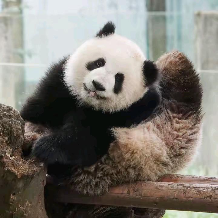 兜有米-