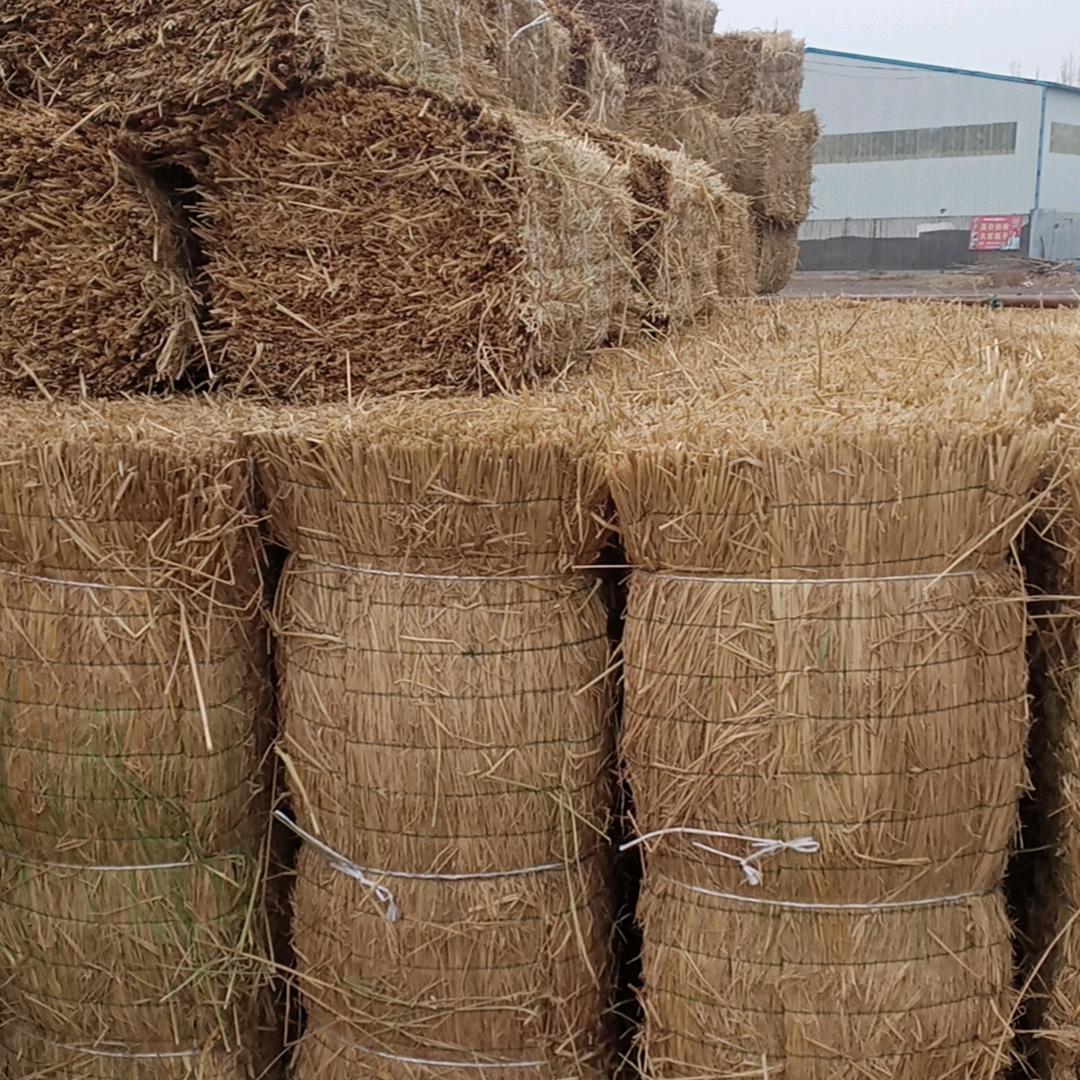 西瓜车搭铺，批发各种西瓜贴标