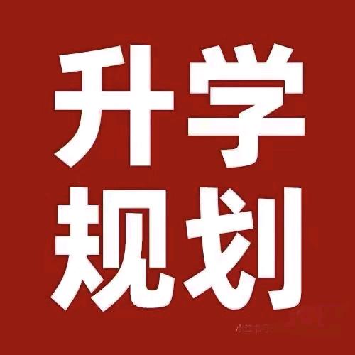 升学规划杨老师