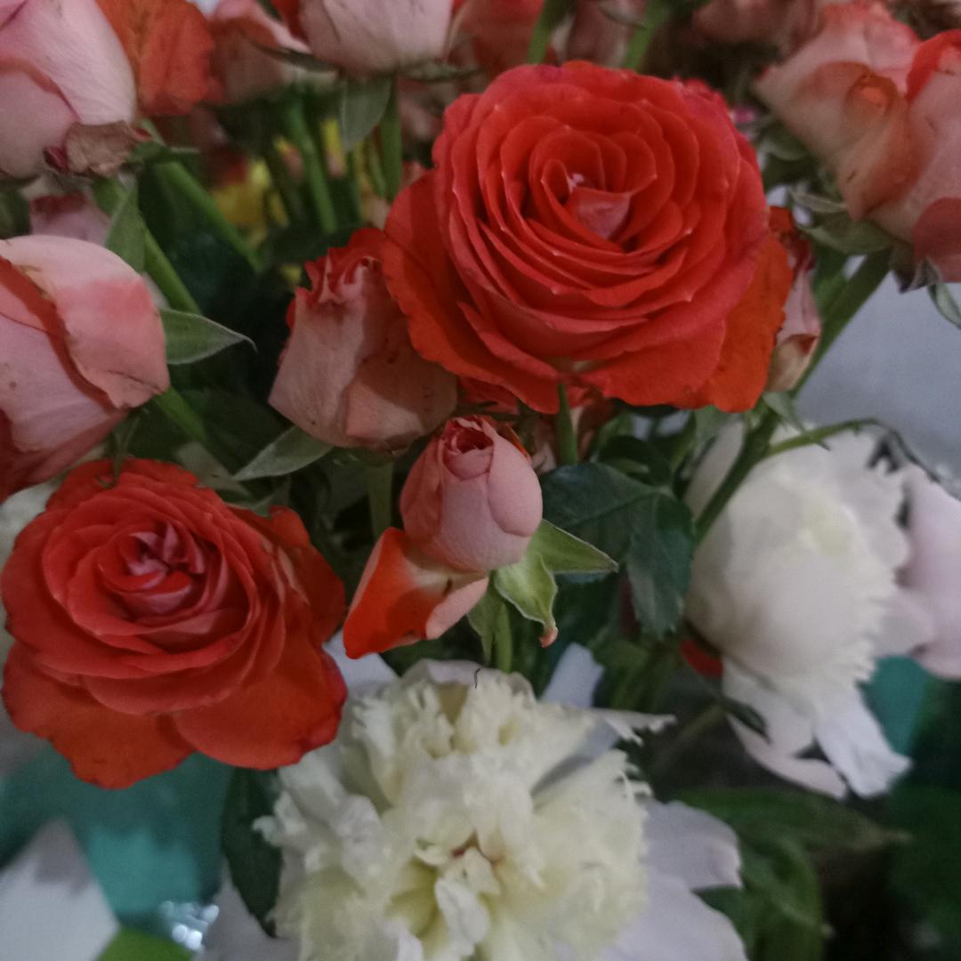 🌺🌺沉默🌺🌺