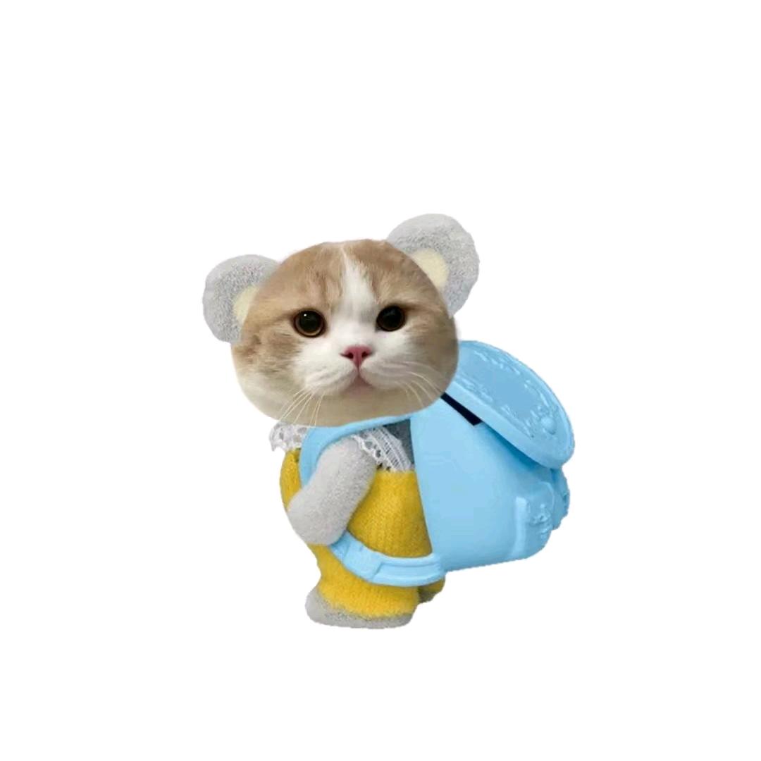 北伦敦的光子轨迹