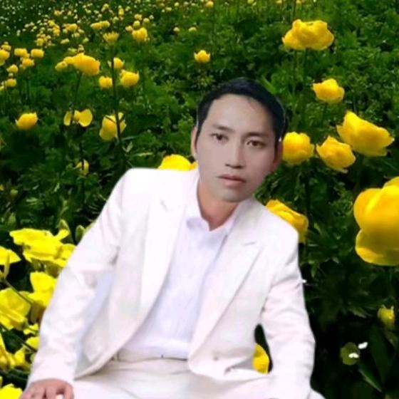 专业西瓜种植