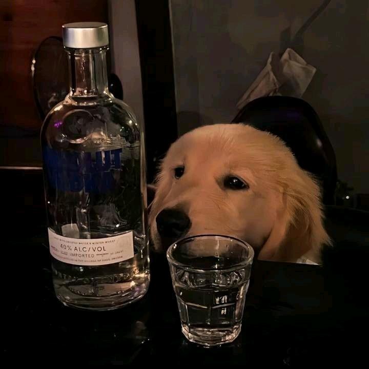 刀斩天下婊
