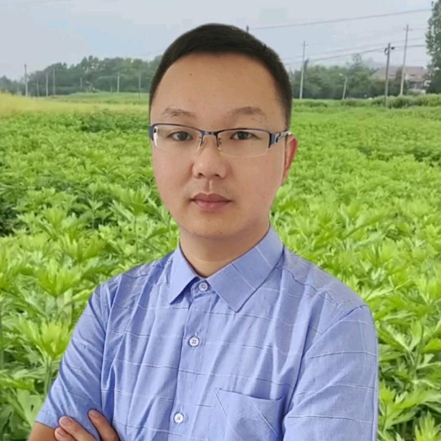 湖北蕲艾工厂店