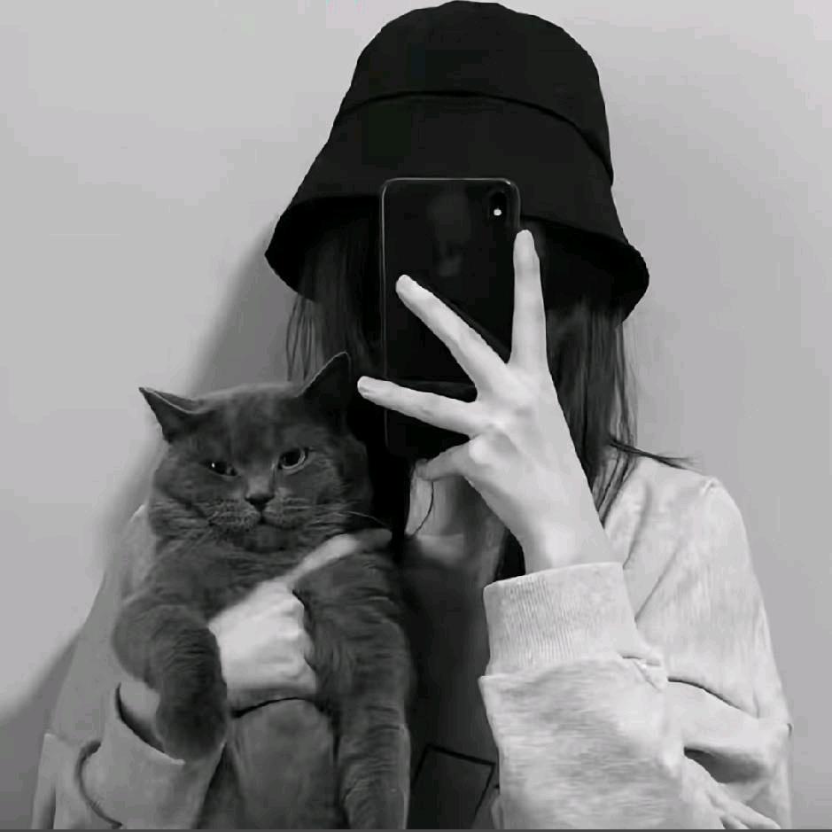 Z  ༠°