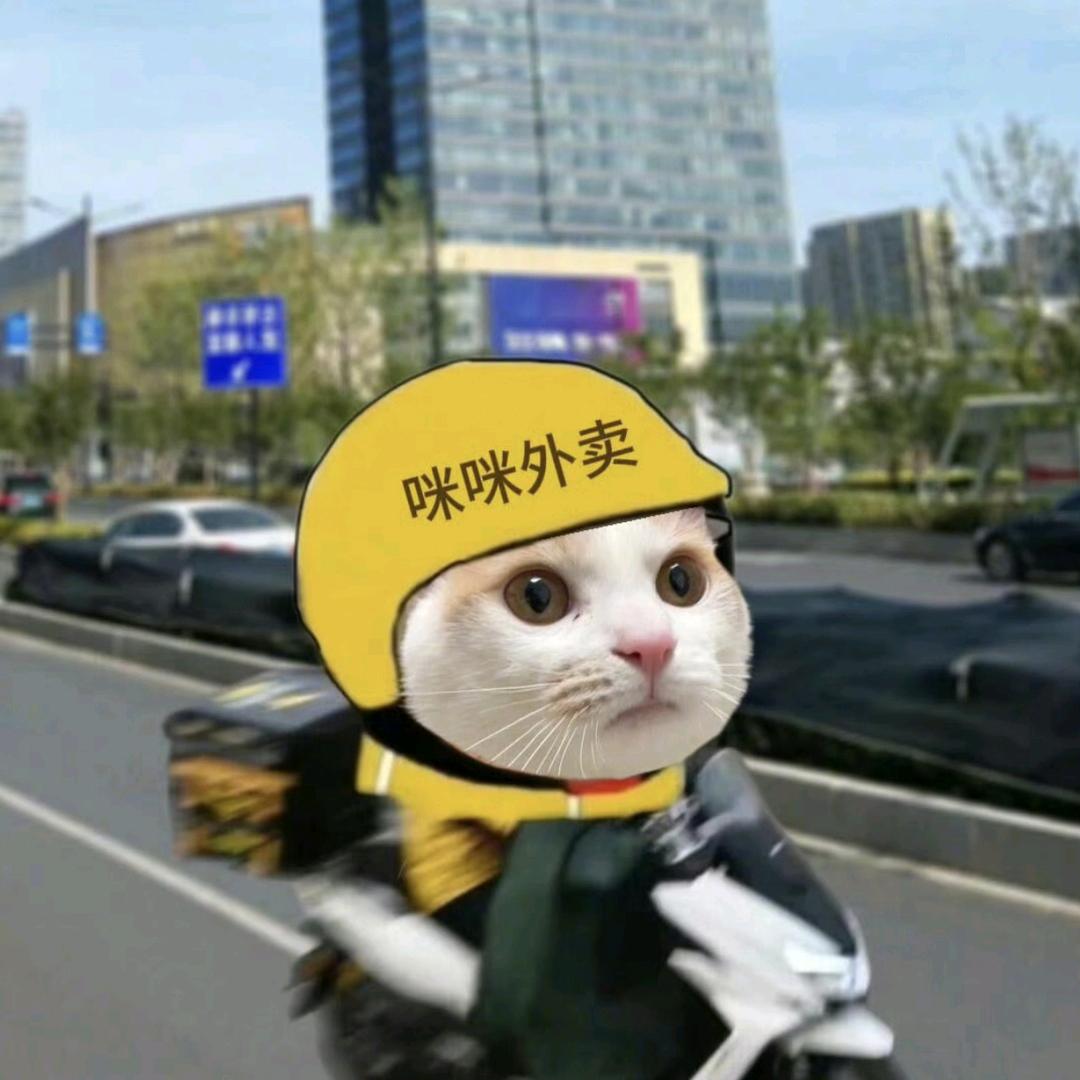 meme猫菜狗（求关注）