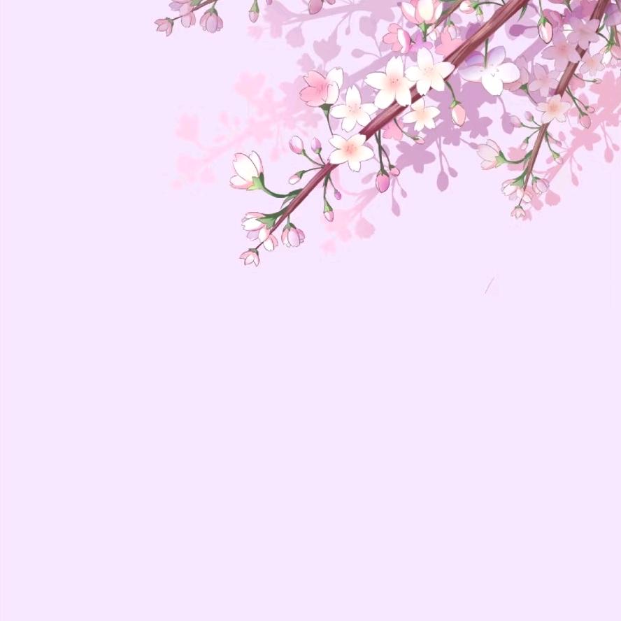 ✨一念