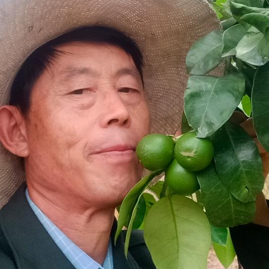 刘大哥