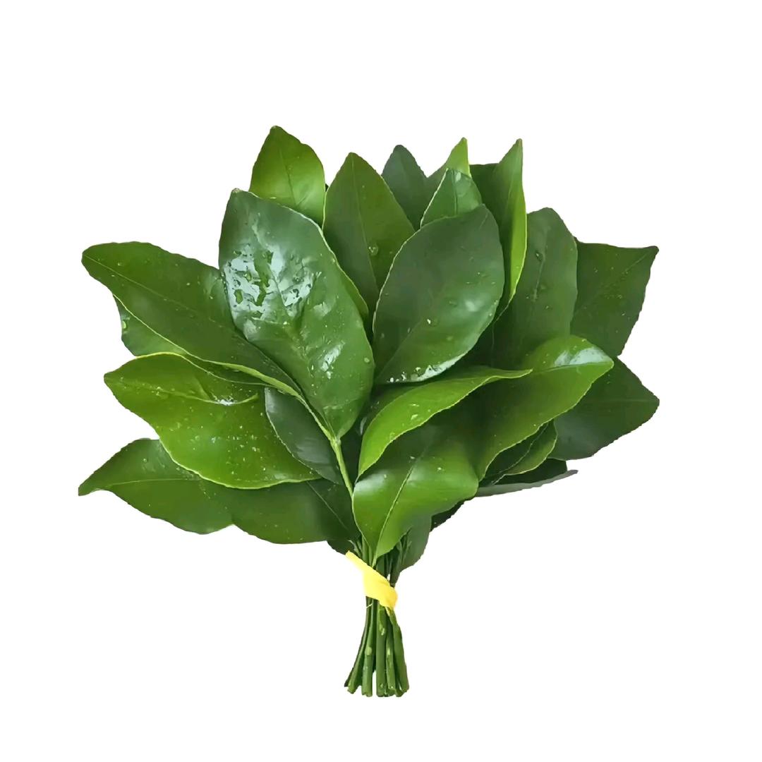 爽朗的夏天
