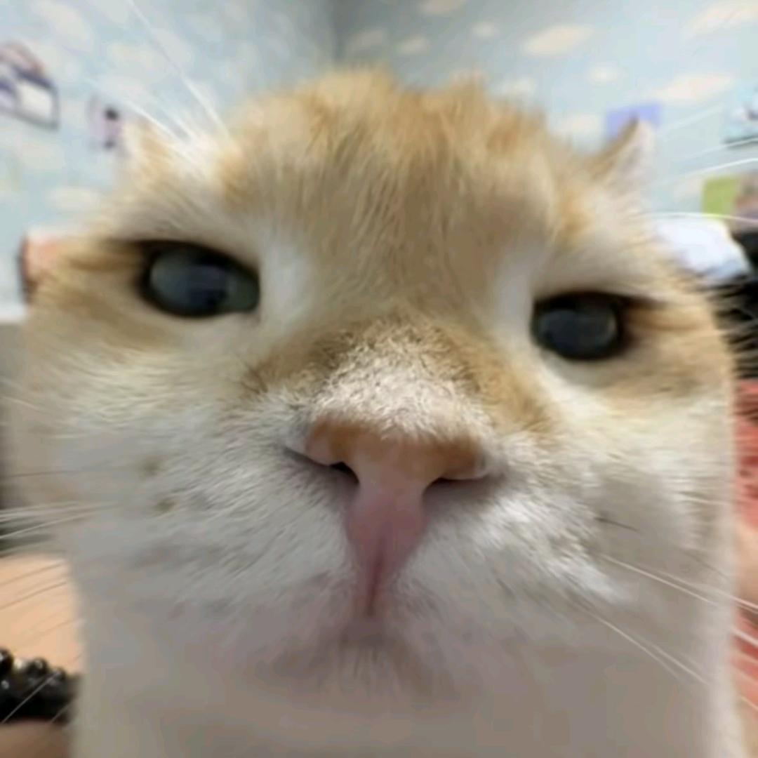我惹你没