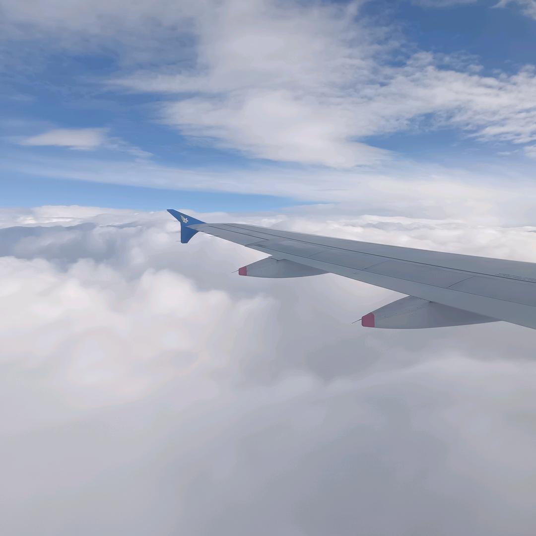 总有刁民@想害朕