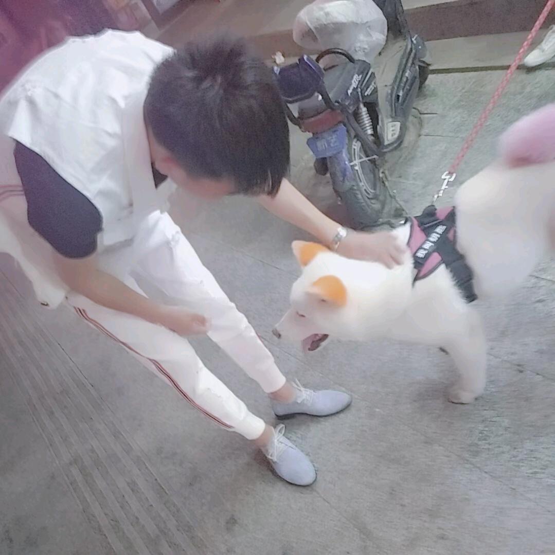 宇轩灬