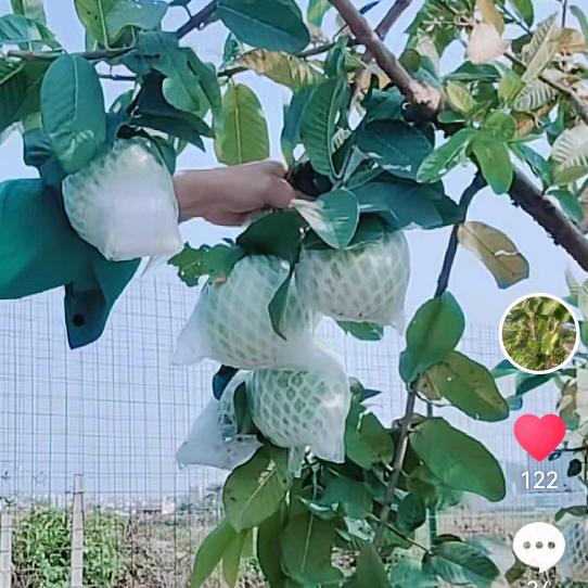 开心姐🌹🌹