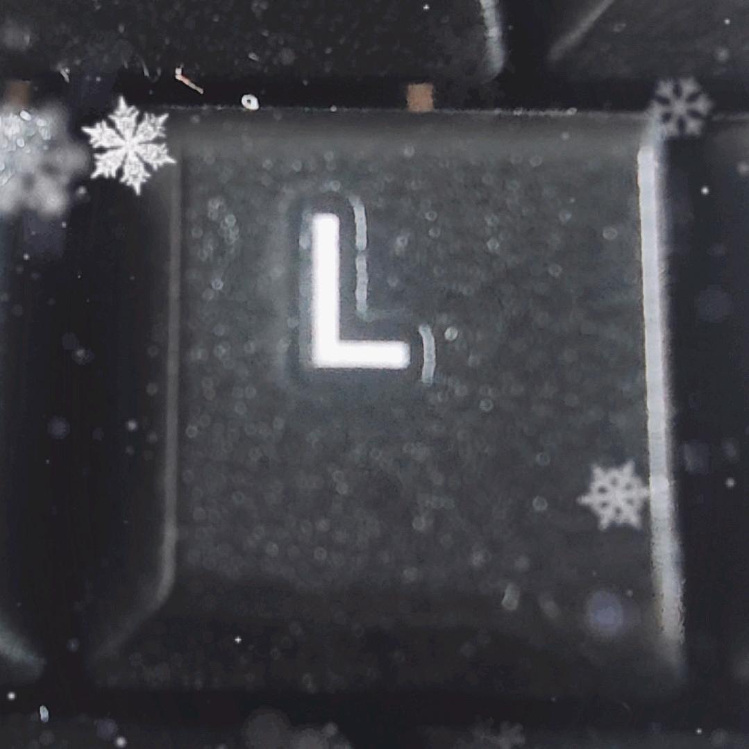 不爱吃青菜的小猪