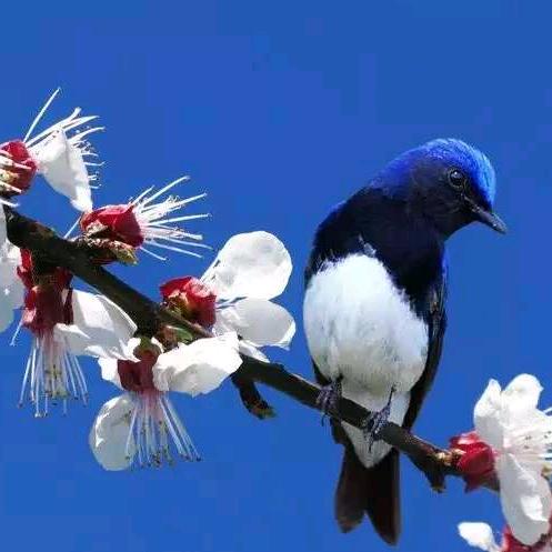 为梦想，而奋斗！