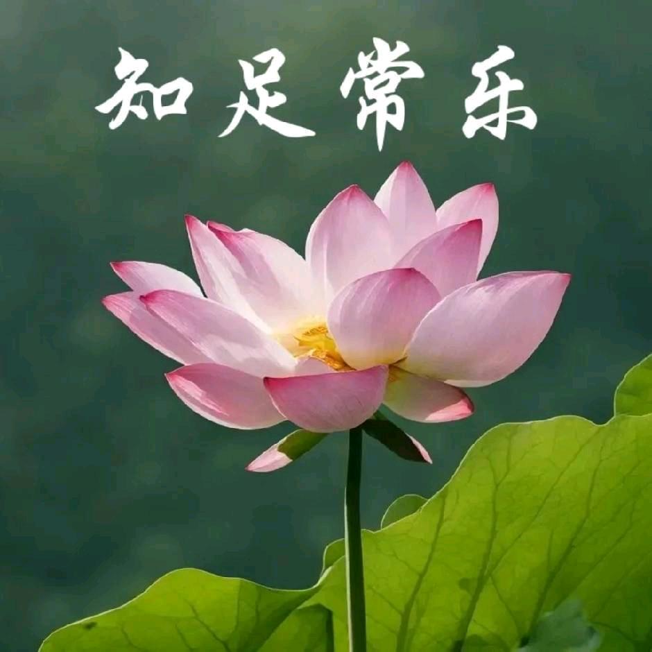 ᅟᅠ        ‍