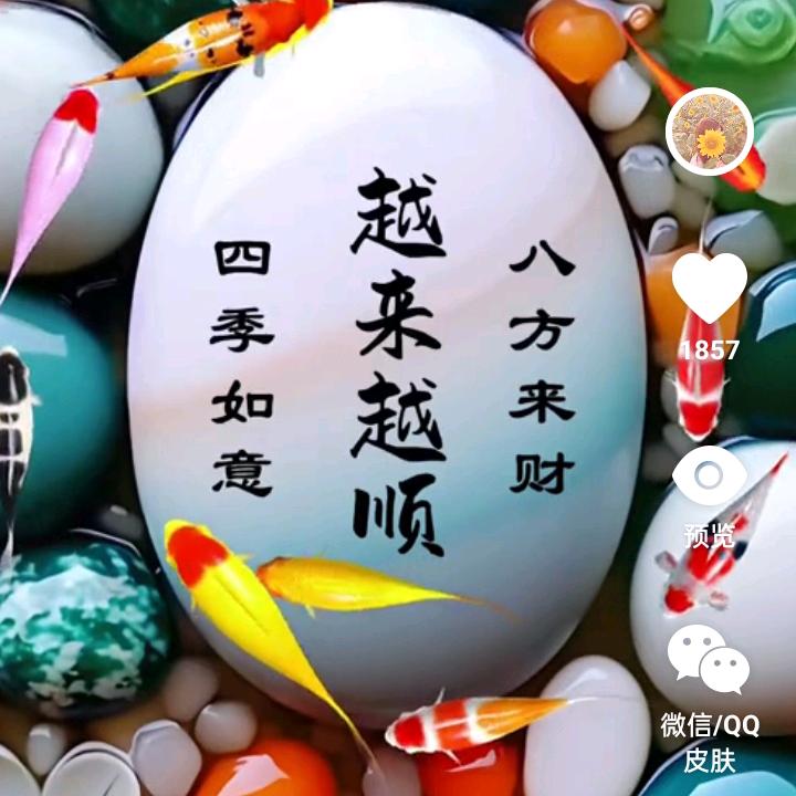 飞奔的骏马，赵姐