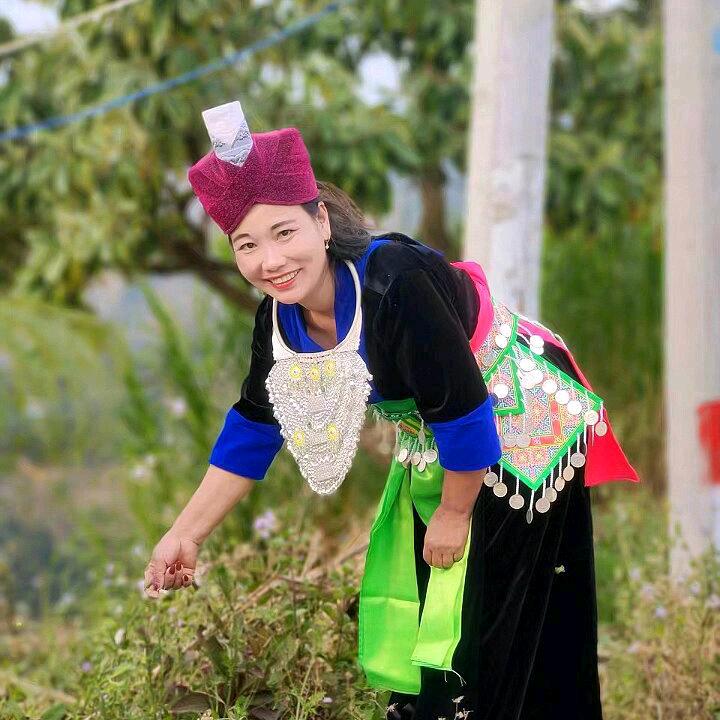 手机用户76298333392