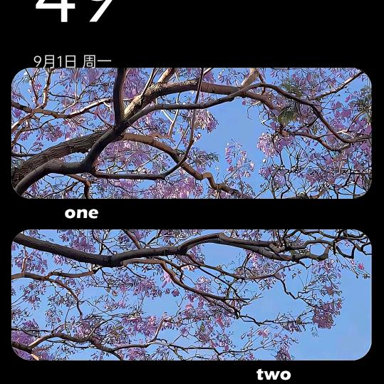 王姐姐