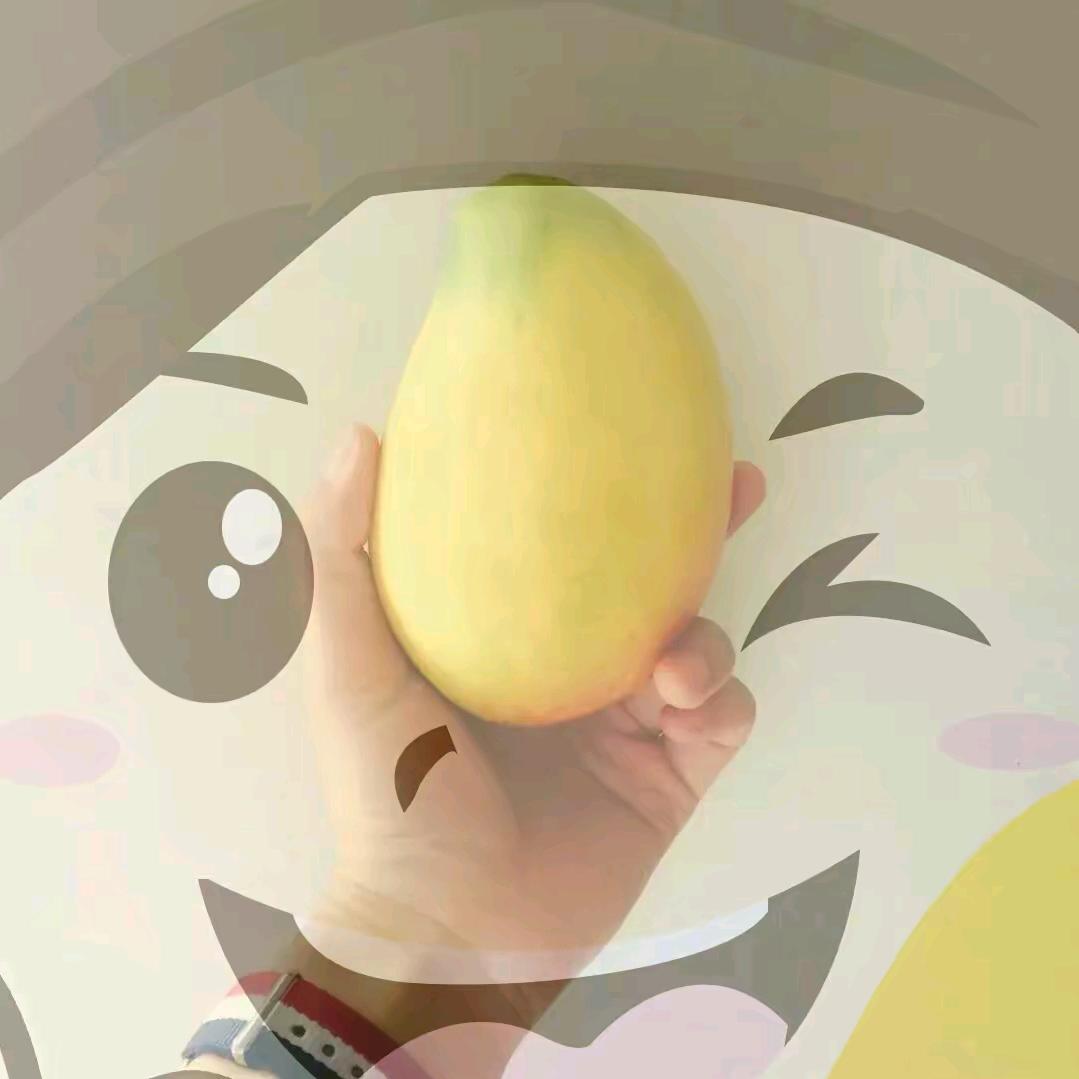 桂盈四季