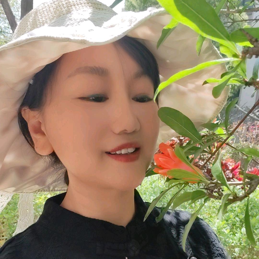 红喜鹊