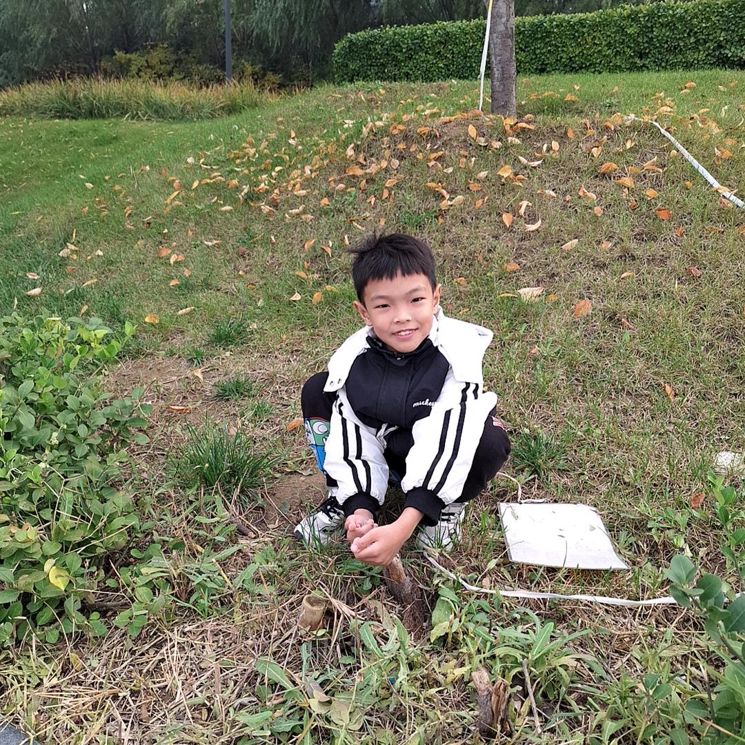 叮叮汤圆的姥姥