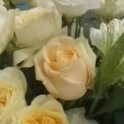 兮兮