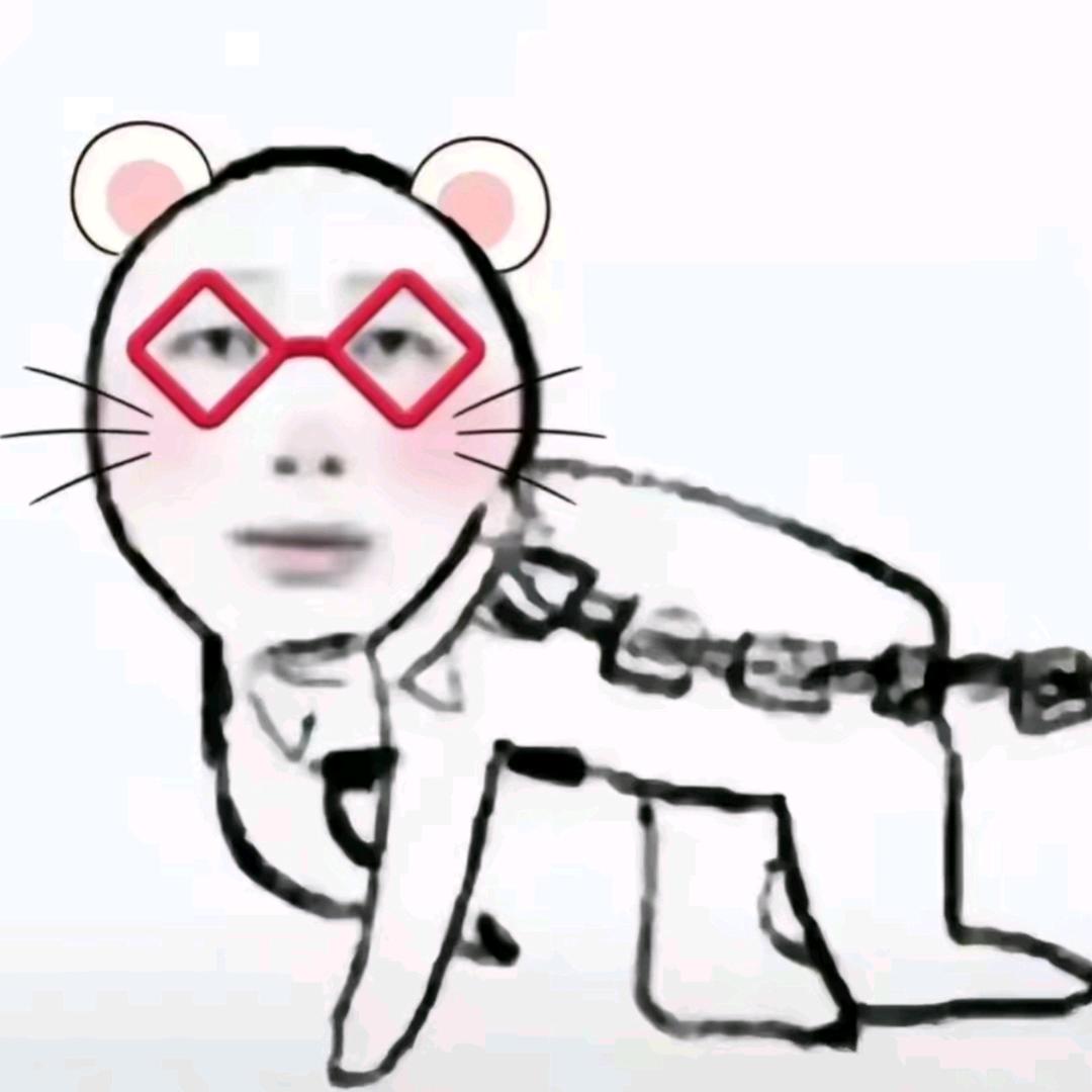 叁个Y