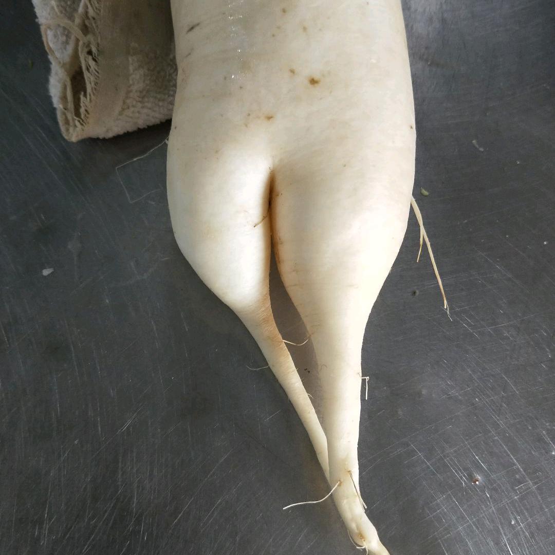 你影视剪辑