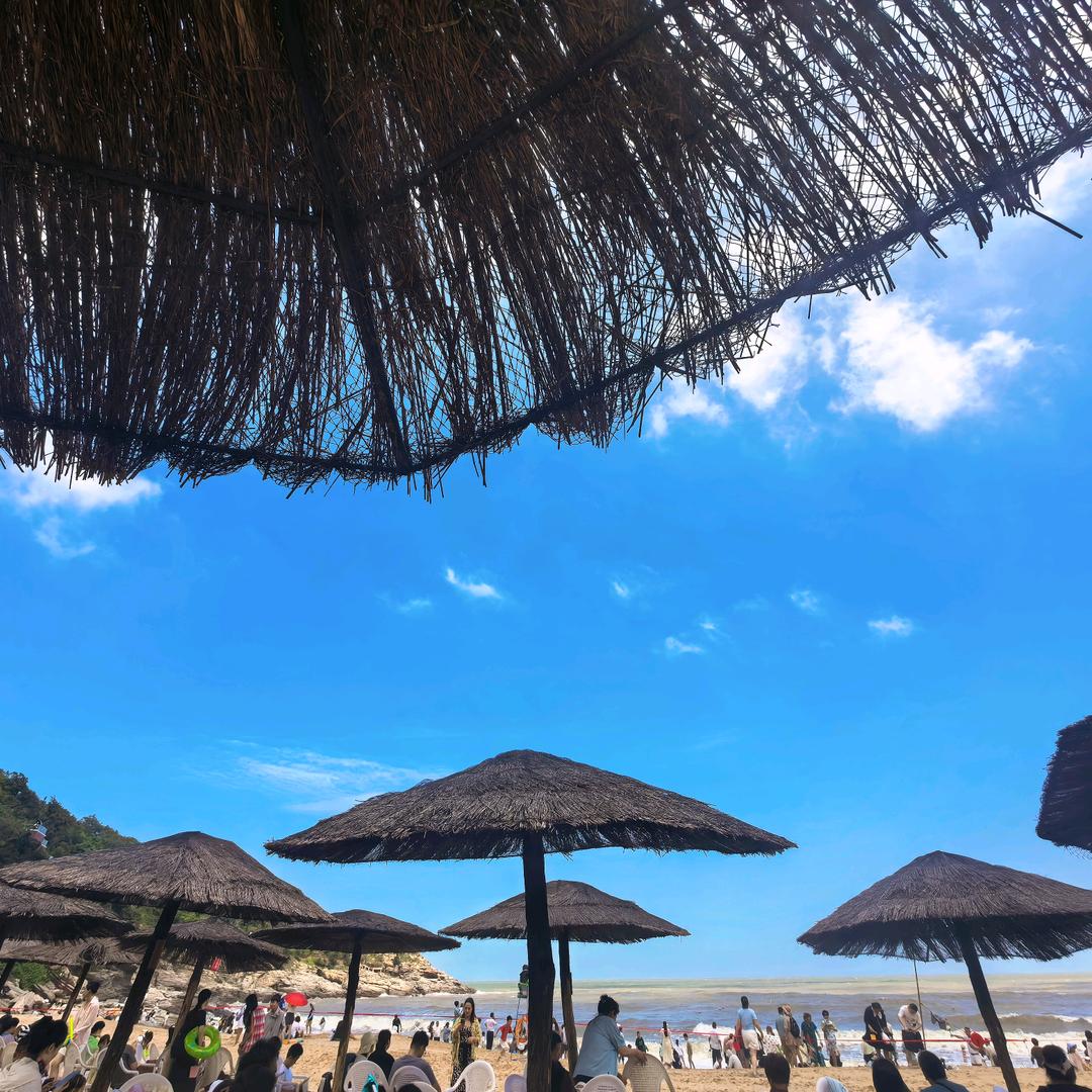 小野马电子商务有限公司